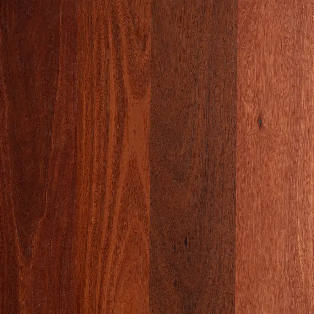 Jarrah