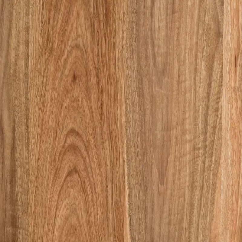 Spotted Gum is a popular selection for benchtops and display joinery due to its gorgeous grain pattern and silky brown hues.