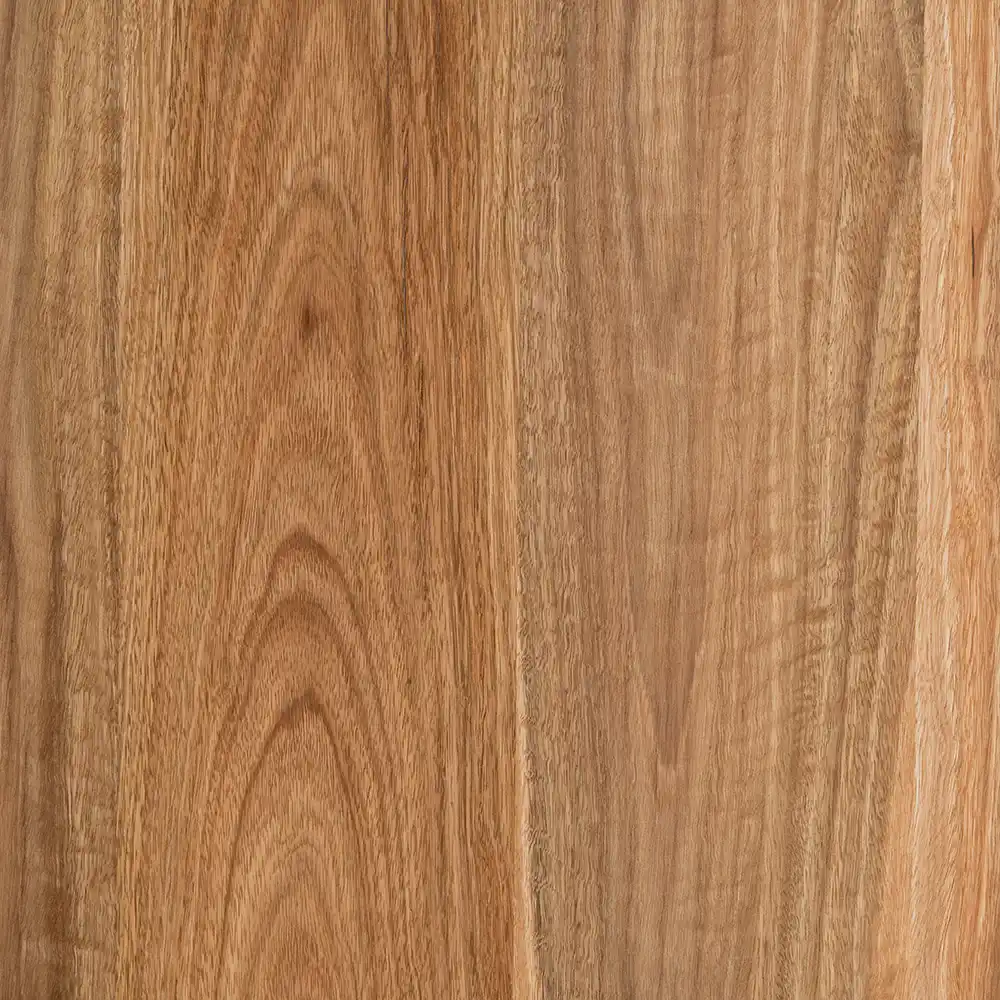 Spotted Gum
