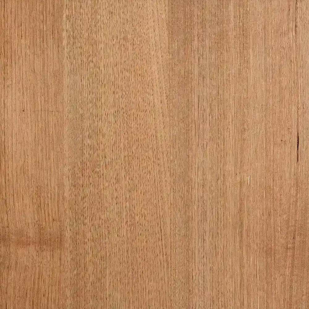 Tasi Oak